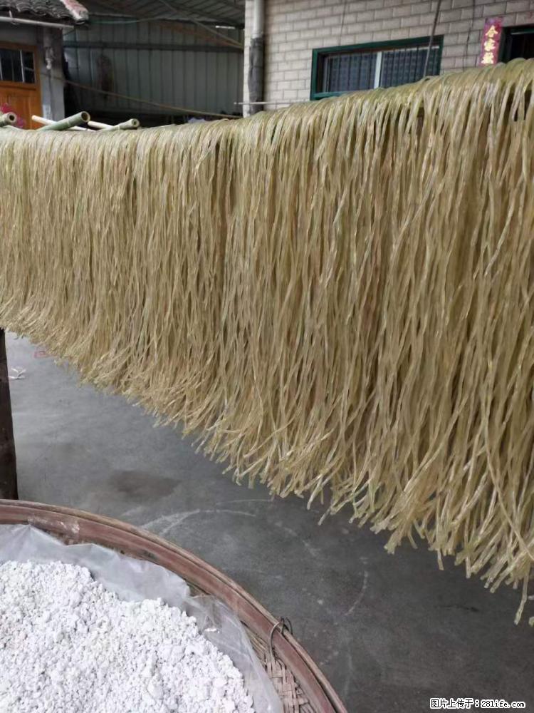 【灌阳正宗红薯粉】美女家里自己做的，干净卫生，假一赔十，价格合理，抢购电话：13737312895 - 美食天地 - 平凉生活社区 - 平凉28生活网 pl.28life.net