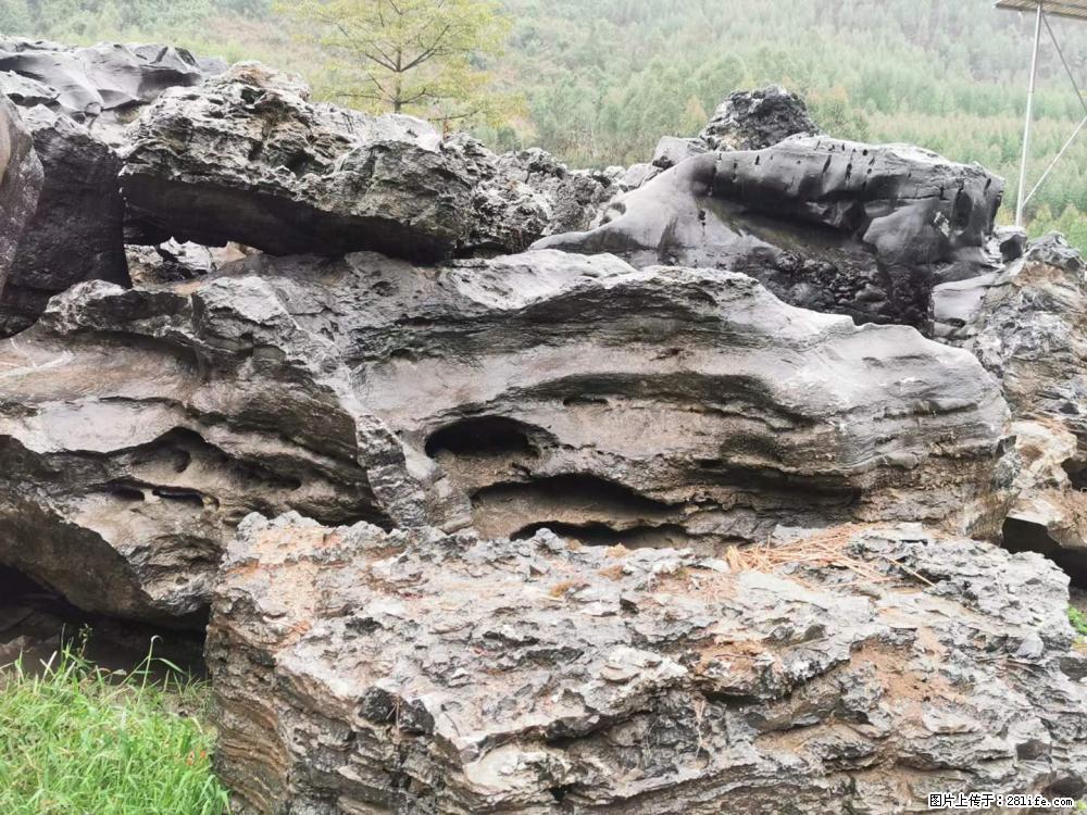 风景石、假山石大量有货，有需要的欢迎联系 - 新手上路 - 平凉生活社区 - 平凉28生活网 pl.28life.net