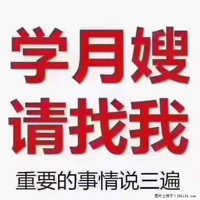 为什么要学习月嫂，育婴师？ - 新手上路 - 平凉生活社区 - 平凉28生活网 pl.28life.net
