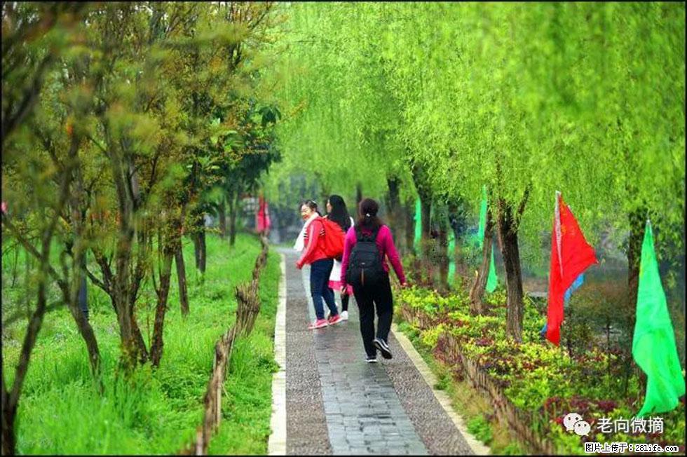 【春天，广西桂林灌阳县向您发出邀请！】江口老街又逢春 - 游山玩水 - 平凉生活社区 - 平凉28生活网 pl.28life.net