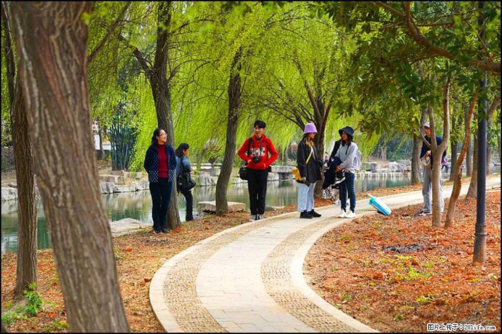 【春天，广西桂林灌阳县向您发出邀请！】江口老街又逢春 - 游山玩水 - 平凉生活社区 - 平凉28生活网 pl.28life.net