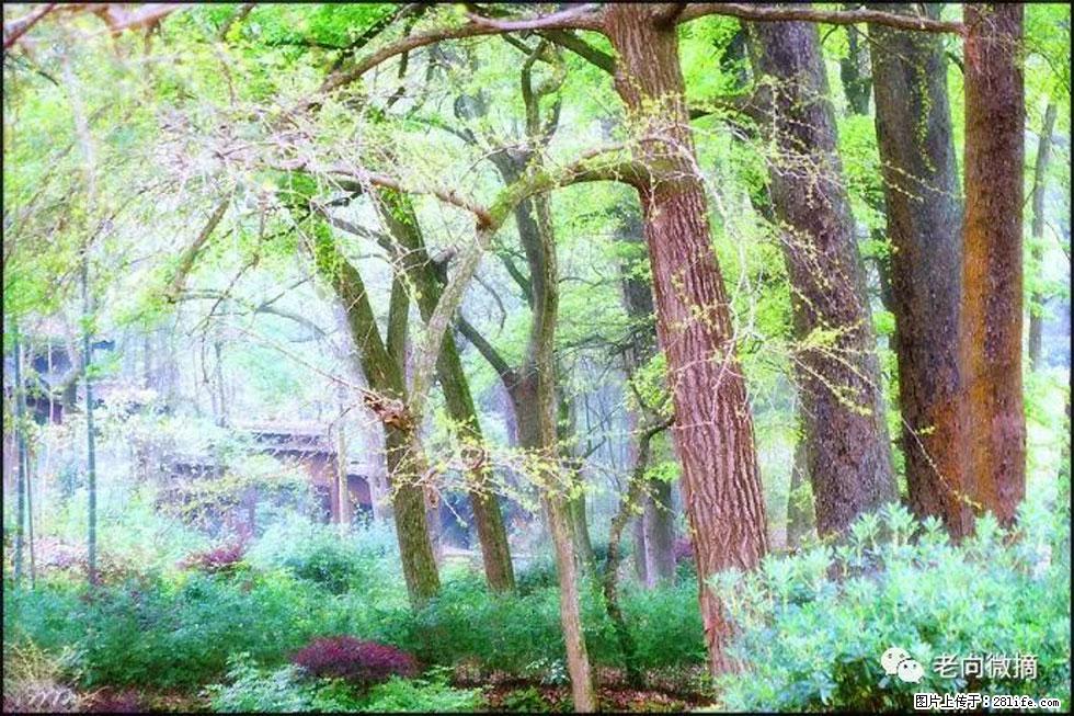 【春天，广西桂林灌阳县向您发出邀请！】在小龙村与春天约会 - 游山玩水 - 平凉生活社区 - 平凉28生活网 pl.28life.net