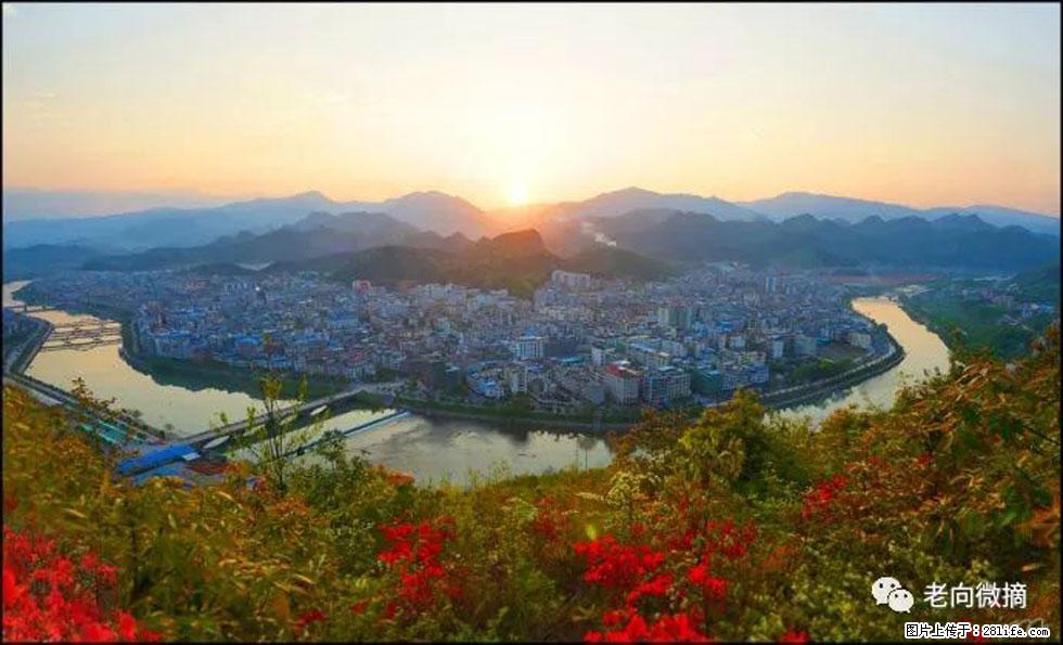 【春天，广西桂林灌阳县向您发出邀请！】登麒麟山，相约映山红 - 游山玩水 - 平凉生活社区 - 平凉28生活网 pl.28life.net
