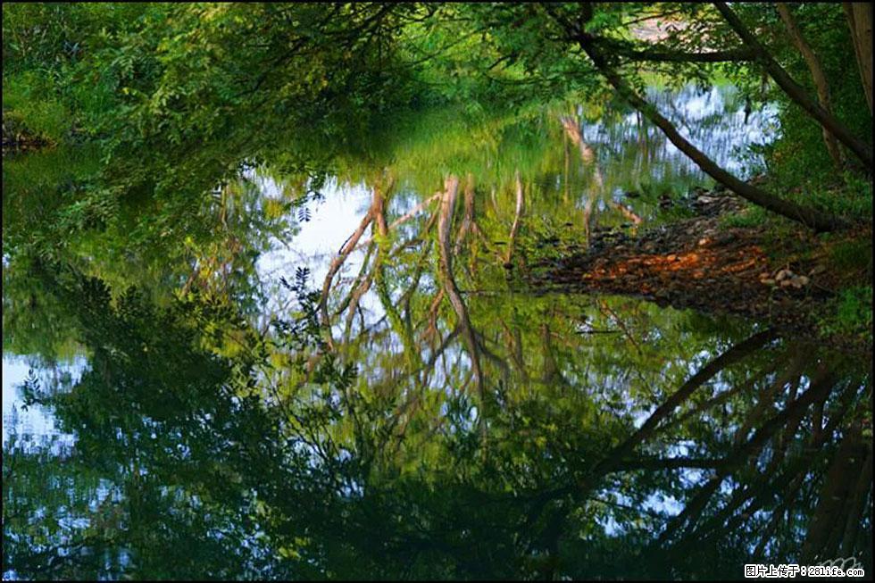 【春天，广西桂林灌阳县向您发出邀请！】熊家寨湿地公园 - 游山玩水 - 平凉生活社区 - 平凉28生活网 pl.28life.net