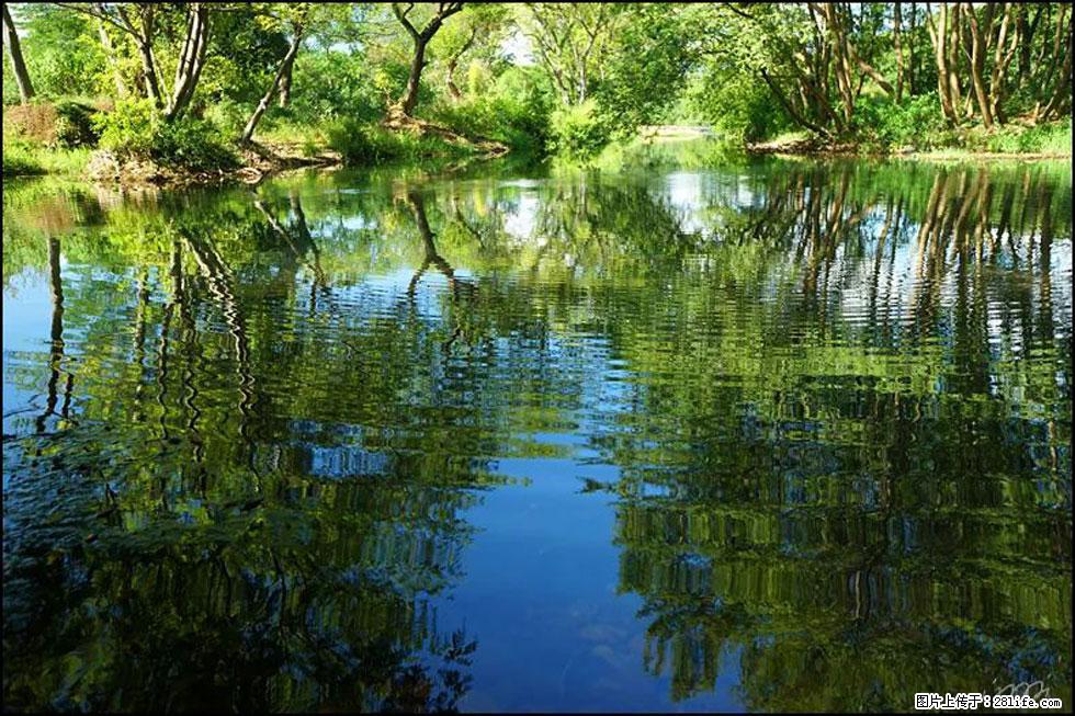 【春天，广西桂林灌阳县向您发出邀请！】熊家寨湿地公园 - 游山玩水 - 平凉生活社区 - 平凉28生活网 pl.28life.net