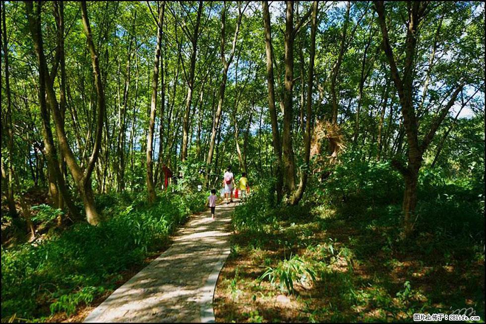 【春天，广西桂林灌阳县向您发出邀请！】熊家寨湿地公园 - 游山玩水 - 平凉生活社区 - 平凉28生活网 pl.28life.net