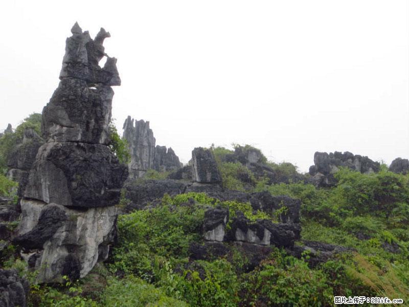 桂林旅游名城景点：灌阳文市石林 - 游山玩水 - 平凉生活社区 - 平凉28生活网 pl.28life.net