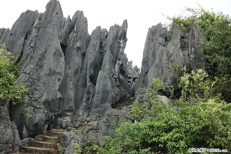 桂林旅游名城景点：灌阳文市石林 - 游山玩水 - 平凉生活社区 - 平凉28生活网 pl.28life.net