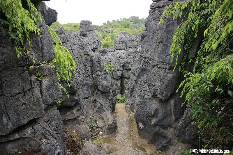 桂林旅游名城景点：灌阳文市石林 - 游山玩水 - 平凉生活社区 - 平凉28生活网 pl.28life.net