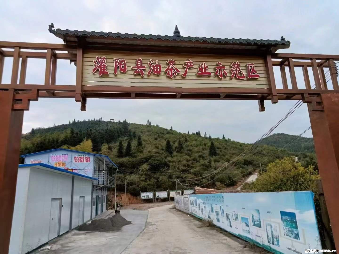 【灌阳县油茶产业示范区】一个有着充实的精神生活的人，对待身外之物自会有一种淡泊的态度 - 美食天地 - 平凉生活社区 - 平凉28生活网 pl.28life.net