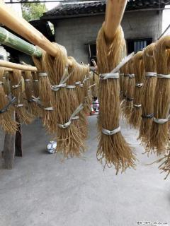 【灌阳正宗红薯粉】美女家里自己做的，干净卫生，假一赔十，价格合理，抢购电话：13737312895 - 平凉28生活网 pl.28life.net