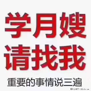 为什么要学习月嫂，育婴师？ - 平凉28生活网 pl.28life.net