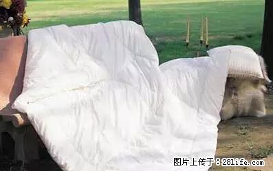 被子有异味？只要这样做，比晒太阳还强100倍！ - 家居生活 - 平凉生活社区 - 平凉28生活网 pl.28life.net