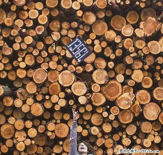 辞掉工作周游世界？现在他们在洗厕所…… - 游山玩水 - 平凉生活社区 - 平凉28生活网 pl.28life.net
