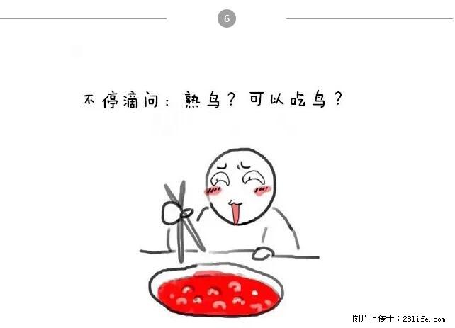 千万不要和这9种哈卵一起吃火锅！ - 美食天地 - 平凉生活社区 - 平凉28生活网 pl.28life.net