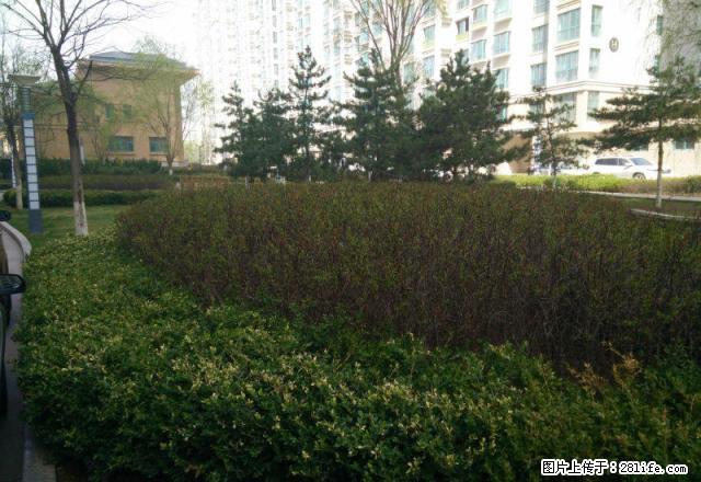 世纪花园C区 附近绿地广场 广成学校 交通便利 出行方便 - 房屋出租 - 房屋租售 - 平凉分类信息 - 平凉28生活网 pl.28life.net