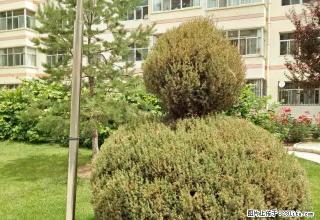 怡景园精装修 三室二厅 带家具 - 平凉28生活网 pl.28life.net