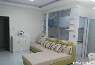 柳树巷农行家属院 拎包入住，洒脱无比 - 平凉28生活网 pl.28life.net