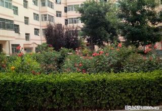 市党校对面 民舒家园 两室两厅 带全套家具家电 拎包入住出租 - 平凉28生活网 pl.28life.net