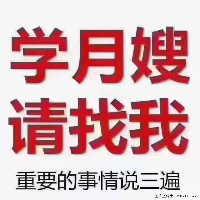 【招聘】月嫂，上海徐汇区 - 职场交流 - 平凉生活社区 - 平凉28生活网 pl.28life.net