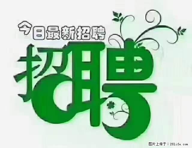 上海青浦区招仓管 - 职场交流 - 平凉生活社区 - 平凉28生活网 pl.28life.net