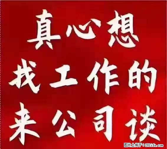 【上海】国企，医院招两名男保安，55岁以下，身高1.7米以上，无犯罪记录不良嗜好 - 职场交流 - 平凉生活社区 - 平凉28生活网 pl.28life.net