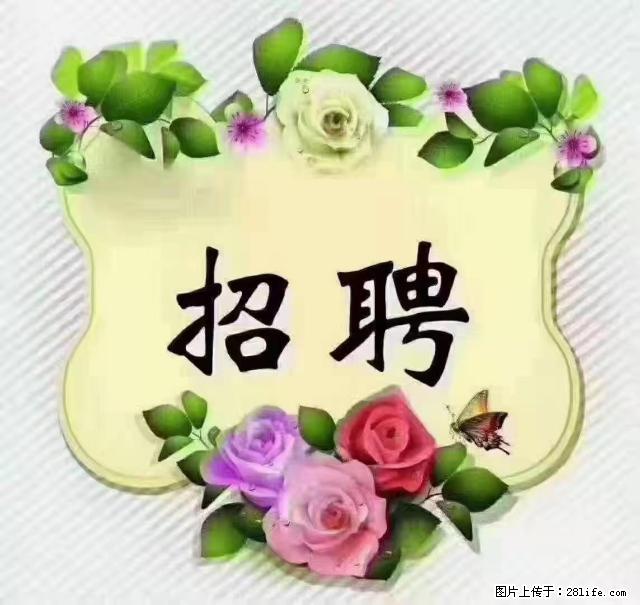 【招聘】住家育儿嫂，上户日期：4月4日，工作地址：上海 黄浦区 - 职场交流 - 平凉生活社区 - 平凉28生活网 pl.28life.net