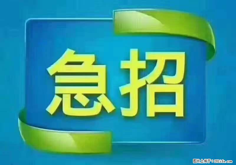 招出纳8000元/月，无证可以，要有相关经验，上海五险一金，包住，包工作餐，做六休一。 - 职场交流 - 平凉生活社区 - 平凉28生活网 pl.28life.net