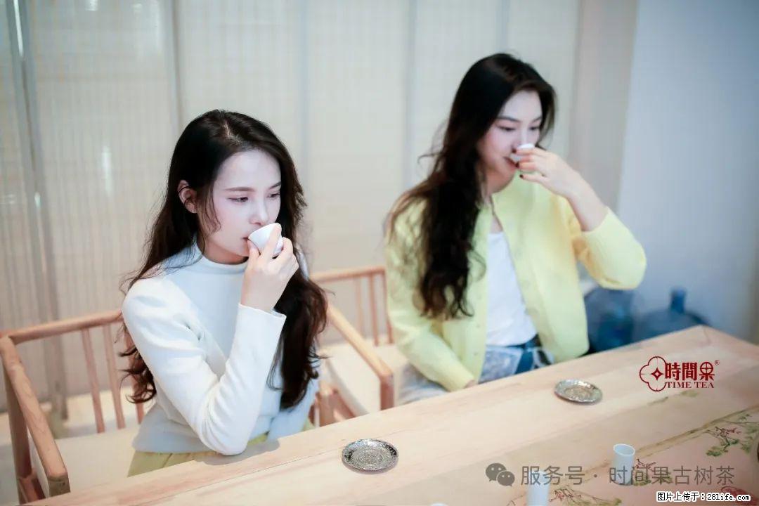 时间果百年古树龙珠普洱生茶 - 购物交流 - 平凉生活社区 - 平凉28生活网 pl.28life.net