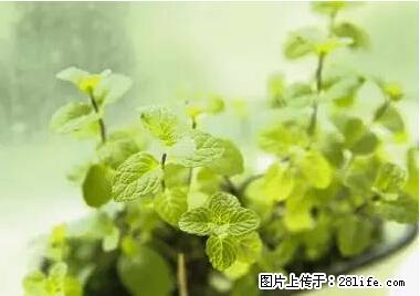 晕车、脚气、牙齿变黄、皮肤粗糙？学会这些三分钟搞定！ - 平凉生活资讯 - 平凉28生活网 pl.28life.net