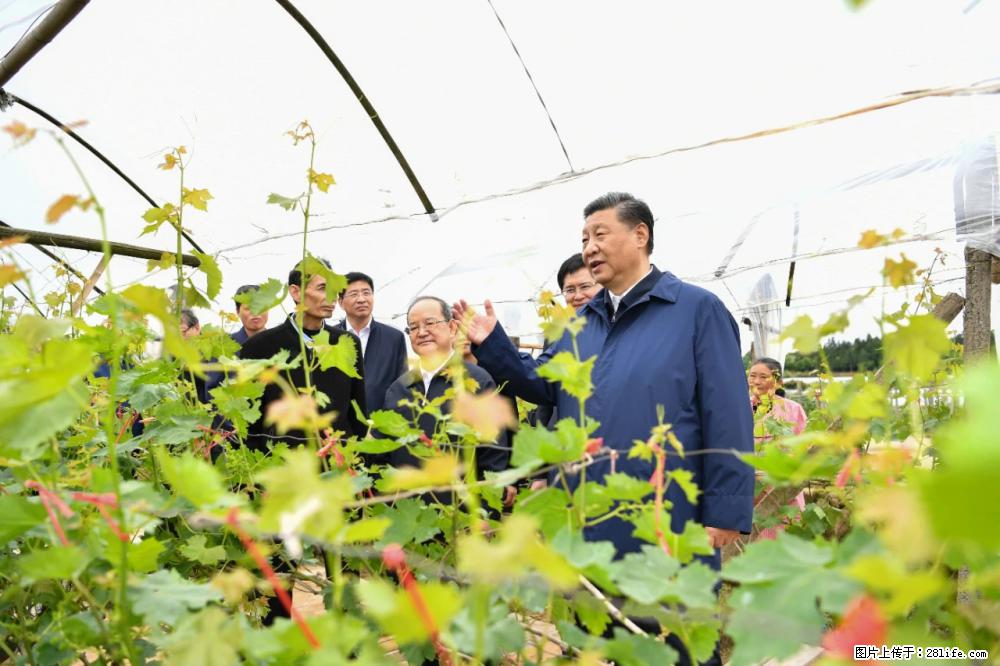 习近平赴广西考察调研 - 平凉生活资讯 - 平凉28生活网 pl.28life.net