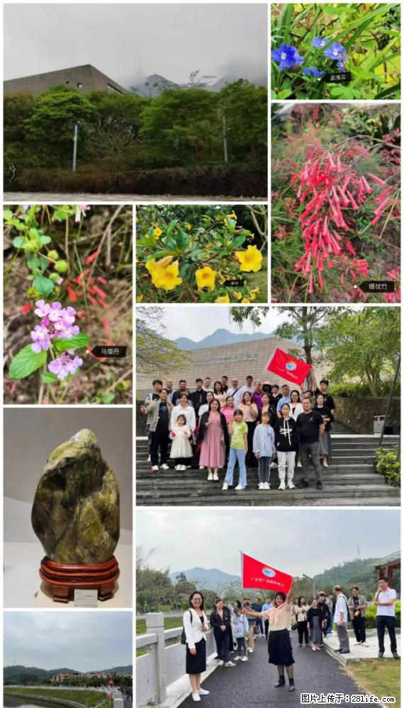 “粤灌文化 美好生活”油茶文化主题活动在广东深圳成功举办 - 平凉生活资讯 - 平凉28生活网 pl.28life.net