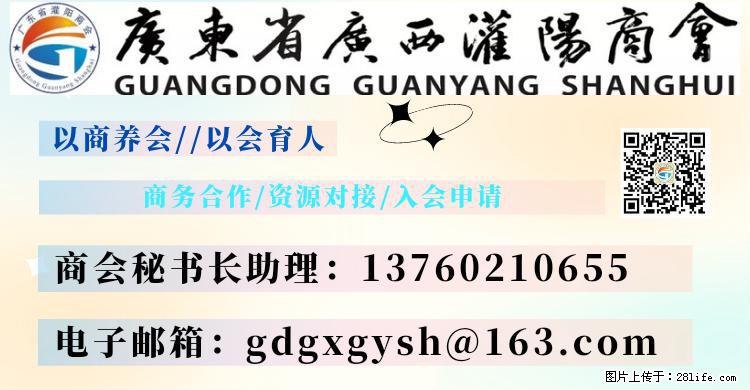 “粤灌文化 美好生活”油茶文化主题活动在广东深圳成功举办 - 平凉生活资讯 - 平凉28生活网 pl.28life.net