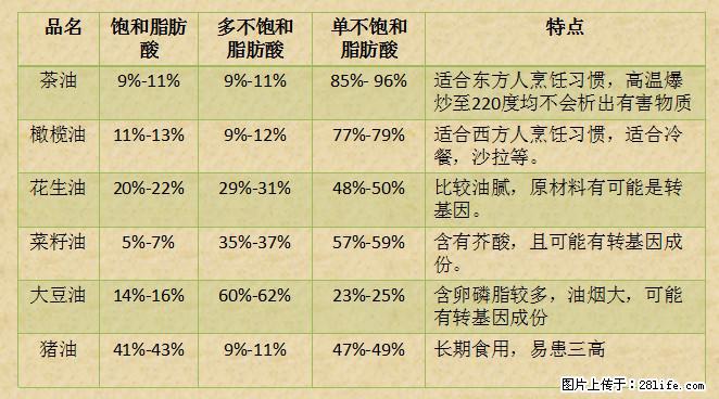 揭秘茶油的5大核心营养成分！被称为人体健康的“守护盾”！ - 平凉生活资讯 - 平凉28生活网 pl.28life.net