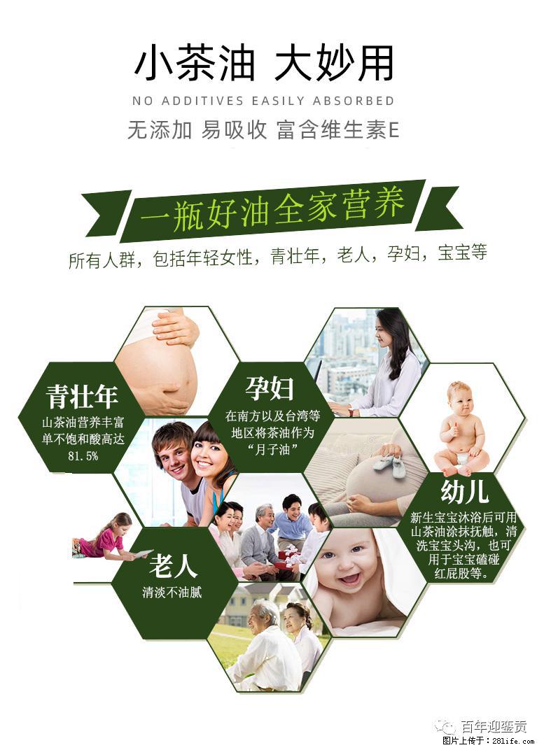 世界没有真相，只有认知，最好的食用油是中国的山茶油！ - 平凉生活资讯 - 平凉28生活网 pl.28life.net