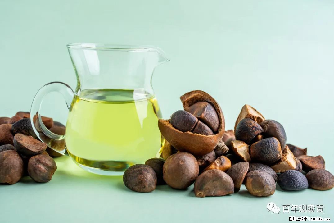世界没有真相，只有认知，最好的食用油是中国的山茶油！ - 平凉生活资讯 - 平凉28生活网 pl.28life.net