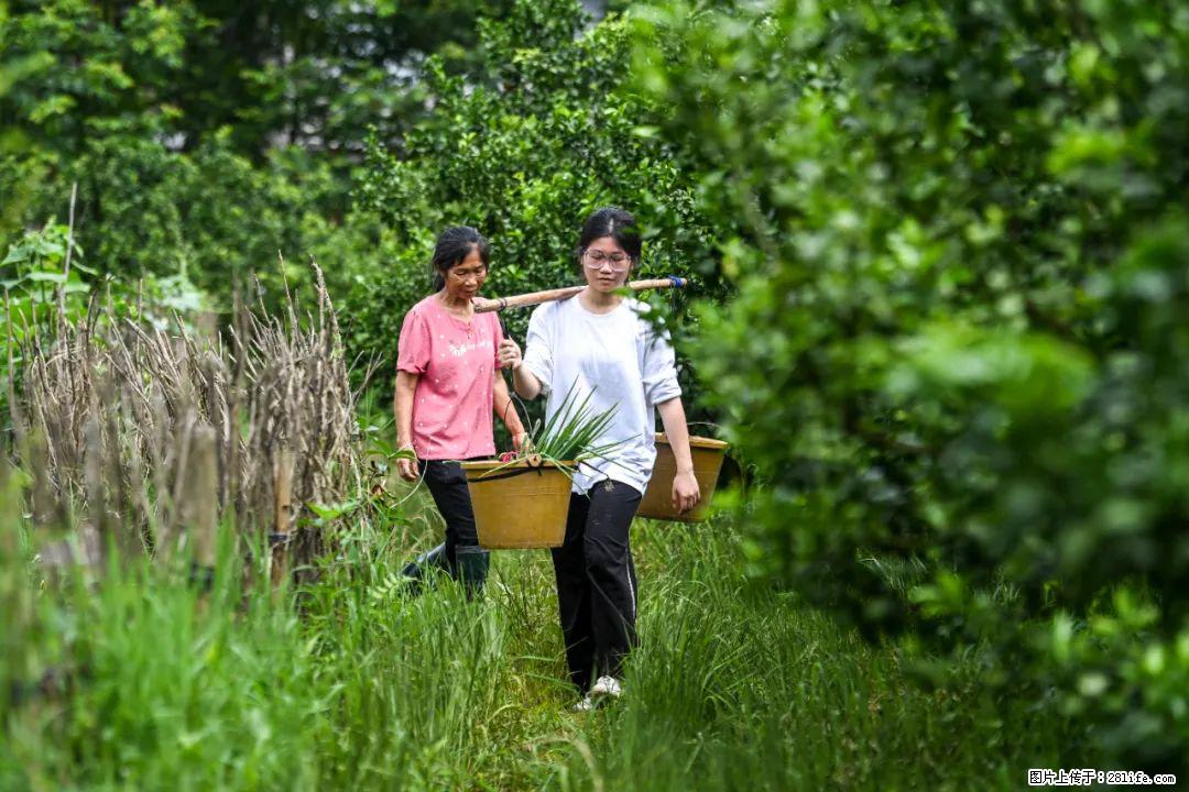 全网追的“扁担女孩”，找了一份暑假工，时薪12元 - 平凉生活资讯 - 平凉28生活网 pl.28life.net