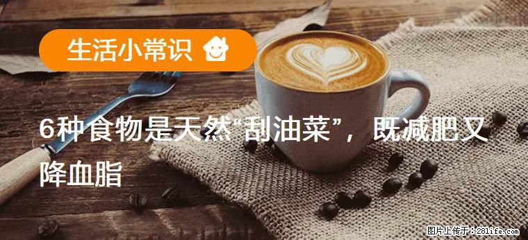 【生活小常识】6种食物是天然“刮油菜”，既减肥又降血脂 - 平凉生活资讯 - 平凉28生活网 pl.28life.net