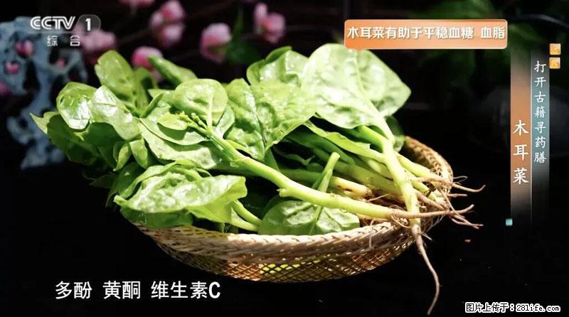 比牛奶补钙还厉害！凉血解毒、稳血糖...这菜冬天必吃，很多人却当草 - 平凉生活资讯 - 平凉28生活网 pl.28life.net