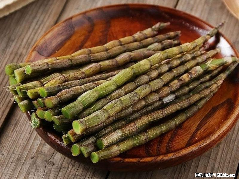 铁皮石斛的作用与功能主治 - 平凉生活资讯 - 平凉28生活网 pl.28life.net